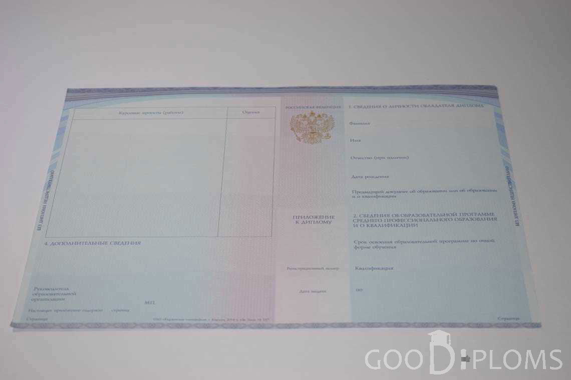 Приложение к Диплому Техникума с Отличием в период c 2014 по 2024 год - Москву